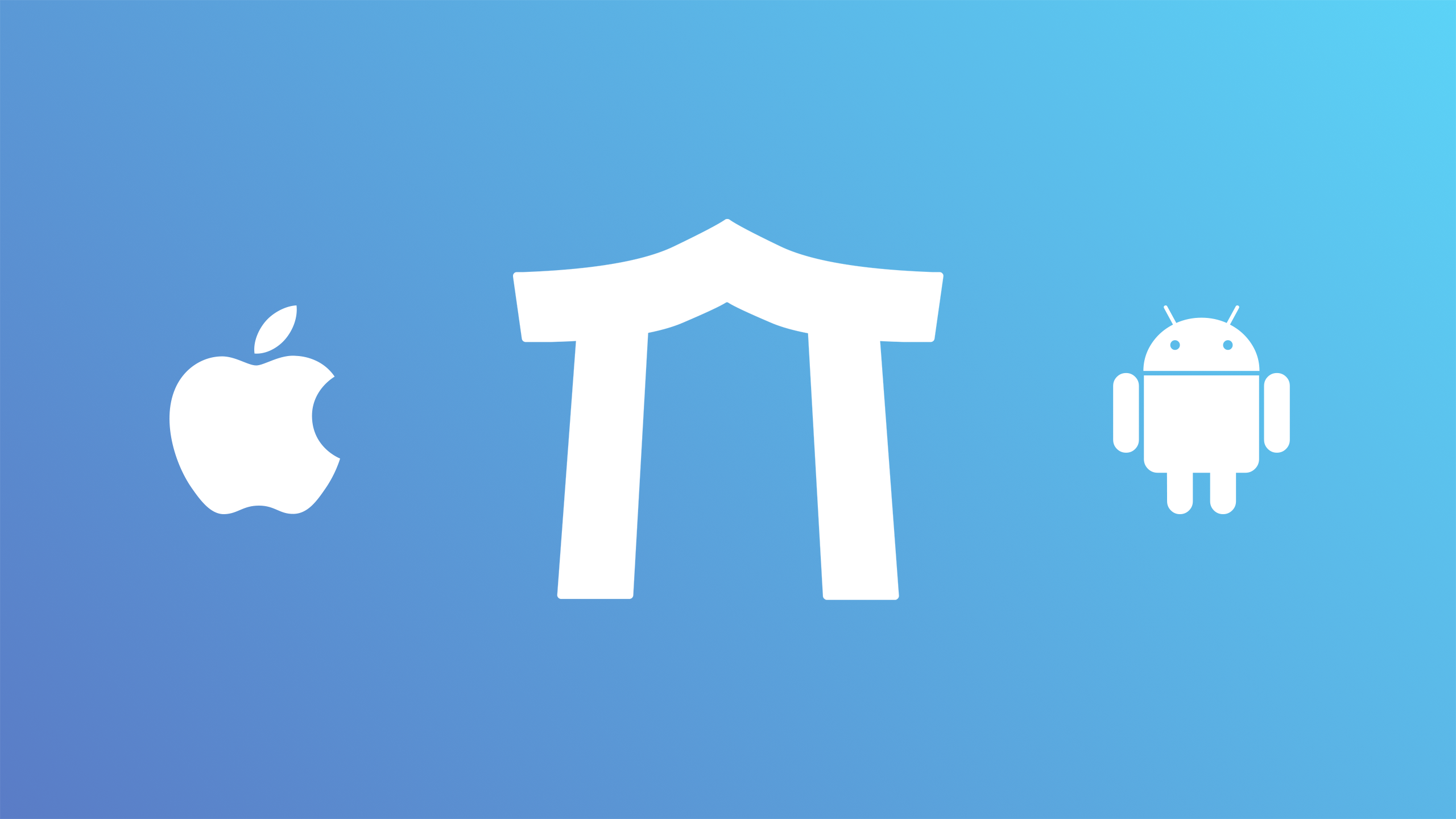 You are currently viewing Torii – Now for iOS and Android